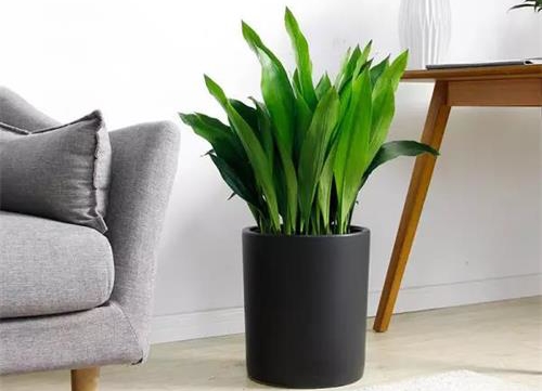 乾港集團(tuán) 乾港集團(tuán)